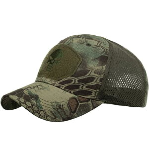 [zCgt@O] bV Lbv pC\ hN Xq jO AEghA fB[X Y CA684(pC\O[)