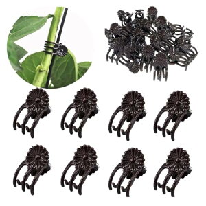 YFFSFDC AxNbv UNbv AT|[g oh ėp\ ڂ؃Nbv A   ʍ؍͔| |֗Nbv |pi Œp ApNbv _/|p 2.1*1.