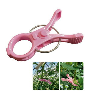 UNbv22  sNy 19 /RIRAI z |Nbv K[fjO U  ƒ؉ g}giX U  K[f pi _  |pi _Ɨpi _Ɨp _Ǝ 