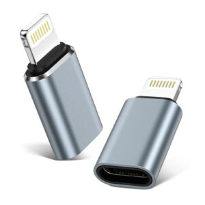 GAEF Type C to CgjO ϊA_v^ (2Zbg) }[d& f[^] m\`bv A~O USB-C iPhone ϊRlN^ ^CvCiOSϊRlN^ [dp yOTG@\&Cz