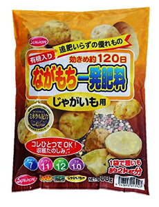 TAhz[v p엿 Ȃꔭ Ⴊp 500g L@ ǔ삢炸 킢2kg 120Ԍʎ ȒPԂ炸 ~lz