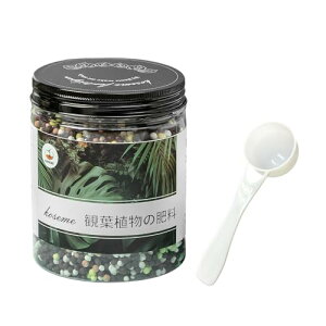 yL@A~m_gpzKOSEME ϗtA̔엿 10-6-6-5 450g Ɍ3 R[eBO vʃXv[t ybg/qǂS  ƒ뉀|