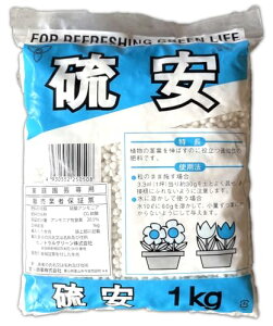  1kg P | K[fjO 엿