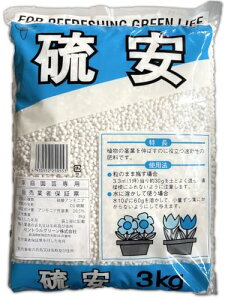  3kg ƒ؉ | K[fjO 엿