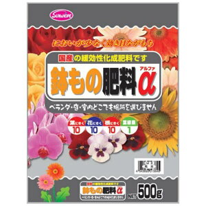 TAhz[v ̔엿 500g IB엿 Ɍ 80   ϗtA