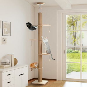 PAWZ Road Lbg^[ ˂ ؐ SʖR ܌ a10.5cm ɑ X ^Lp L^[ ؖڒ  ؓo^[   NA{E FDt ~߃}bg 