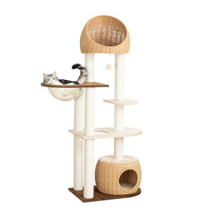 PETTIFUL Lbg^[ u  ^ 152cm ^L VjAL ؐ{[hɃxxbg ҂݃JS ^ Ǎۂ҂ R[i[ RpNg L ȃXy[X ㉺₷