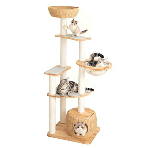 PETTIFUL Lbg^[ ؐ yVR؎gpz ^ u ^L  161cm o[Ebh ҂݃JS ^ Ǎۂ҂ L ȃXy[X ㉺₷ CeA 