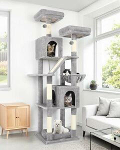 Globlazer Lbg^[ u VjA L^[ ^Lp L^[  ^ @\ o₷ 2˂nEX 5VRR܂Ƃ|[ ʂ݃NbVW] L xbh nM