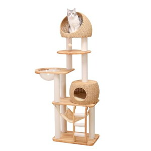 PETTIFUL Lbg^[ ؐ yVR؎gpz u ^L  o[Ebh 176cm ^ ҂݃JS CeA   X ē~p ȃXy[X ʎ ^ 