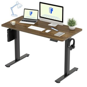 FLEXISPOT dX^fBOfXN(120×s60,[@\t) ~fXN ߃fXN p\RfXN lԍHw Q[~OfXN EF1 Zbg (ij{Vigray woodj, 120*60)