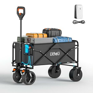 Litheli dL[S ⓹^ y e100L q ^^C AEghAS iϑ ܂肽ݎ RpNg ǂ悹 Lv/AEghA/ނ/BBQ obe[t