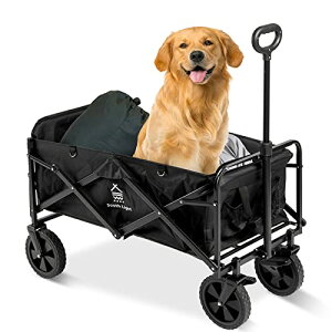 y2023ŐV^Ee100LzSouth Light L[S AEghAS ^^CEω׏d120kg u[Lt O360°x] LvS y RpNg }`L[S [|P