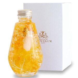 FLOWERiUM n[oE NX}X v[g ޏ  蕨 2025 t[Mtg {  flower  LO a Mtg  j ސE ؂Ȑl tE hbv{g (CG