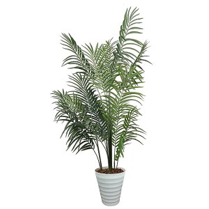 RAKU tFCNO[ ϗtA tFCN^ 160 cm p  Vv ItBX  CeA ^ t  lH j ̓ (AJV 160cm)