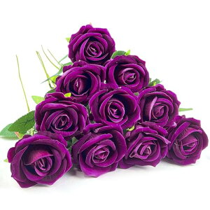 DECEED  o [Y KN 10{Zbg ԑ o^Cf[ u[P ̓  a Ԍa7cm×50cmi[Yp[vj