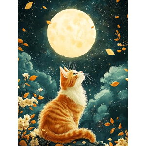 Fluid dragon _ChA[g 5D UCNA[g _CAhr[YGLbg DIYEG|Lbg _Chh Sʓ\t^Cv |Lbg(293)