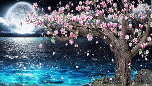 MeBo.Jile _ChA[g Lbg 5D _ChhLbg UCNA[g DIY G |Lbg _CAhr[YGLbg Sʓ\t^Cv