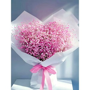 Fluid Cat _ChA[g Lbg 5D UCNA[g _CAhr[YGLbg DIY l̎q G|Lbg _Chh Sʓ\t^Cv |Lbg |pi Ƃ̕