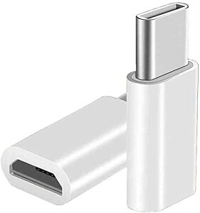 �I�[�f�B�I�t�@�� USB-C�ϊ��A�_�v�^ microUSB�A�_�v�^ microUSB TypeB to USB TypeC �z���C�g 2��