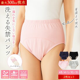 失禁パンツ レディース 防水ショーツ 吸水パッド内蔵 洗える 尿もれ対策 軽失禁対応 尿漏れパンツ 女性用 300cc 2枚組 軽失禁パンツ 失禁ショーツ 深履き パッド パット 妊娠後 産後 尿漏れ防止パンツ 失禁対策パンツ 介護パンツ 介護用 入院用 介護用衣料