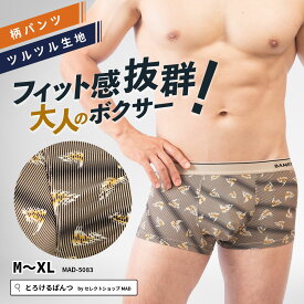 【 マラソン セール 30%OFF & ポイント 10倍 】 ボクサーパンツ メンズ ボクサー 柄 羽 ストライプ ベージュ 大きいサイズ ローライズ アンダーウェア ボクサーブリーフ ブランド 上向き 前閉じ 下着 男性 とろけるぱんつ