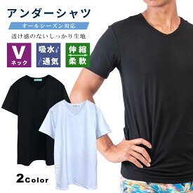 【 スーパーセール 20%OFF & ポイント 5倍 】 半袖 Tシャツ Vネック メンズ アンダーシャツ 無地 綿 コットン 速乾 白 黒 ブランド アンダーウェア インナー とろけるぱんつ