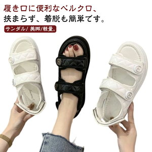  fB[X T_ ₷ wp  p T_ xN r LeBO y }WbNe[v Ȃ 킢 r[`T_ tbg\[ pT_ 