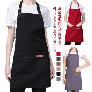  |Pbgt JtFGv ₷ K[fGv Ɨp v[g Y jp Gv  n dp ۈm  ~hGv ߉\ ƒp 