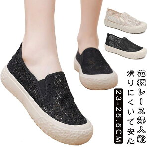  Xb| fB[X y ԕ[X [Jbg bVT_ ؂񂱌C  n Vv Xj[J[T_ tbgV[Y ɂȂ ₷ Ȃ ʊw 