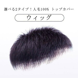 トップピース 白髪隠し メンズ つけ毛 部分ウィッグ 人毛ウィッグ 薄毛隠し ウィッグ 男性用ウィッグ ショート 人毛100% アップ トップカバー ボリューム ヘアピース 白髪カバー つむじ 頭