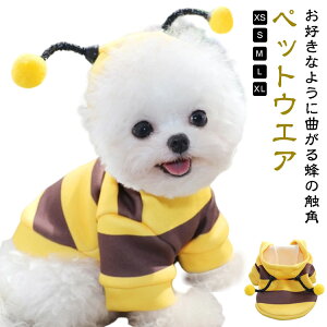 ̕ hbOEGA  g p[J[ Xqt g[i[ N g I ͂ xXg ybg h ΍ іh~@ ʔ IV CX^f ϑ nEB 