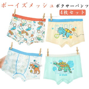 {NT[pc z q {NT[pc Ȃ  A_[EFA j̎q ʋC 4Zbg  j wZ  LbY jq ۈ牀 ct w 