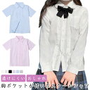 半袖 学生服 制服 シャツ 胸ポケット 制服 長袖 スクール ワイシャツ 白シャツ ピンタック レディース 女子 ブラウス …