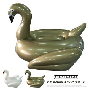 190cm  X C   q t[g S[h V ][g v[ l C   r[`  Ct[^u  傫 킢  CX^