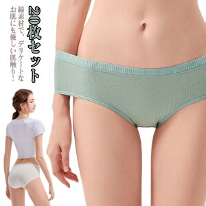 20ZbgIRbg100 g gx s ĝăpc  fB[X o 20ZbgIRbg100 ĝăV[c a@ V[c傫TCY ĝĉ p  