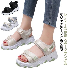 Xj[J[T_ fB[X  X|T RtH[gT_ X|[cT_ y ~ Xgbv T_  ₷ Ȃ  r[`T_ v[ C