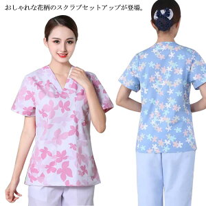 XNu  jtH[ t Y{ ㉺Zbg  ԕ ×p  p ×p  앞 XNu yz Ōt m fB[X ̎t i[X  