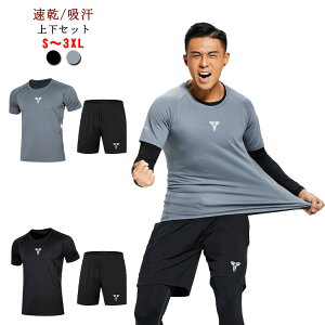 Y X|[cEFA 2_Zbg  jOEFA W  tBbglX ㉺Zbg  n[tpc