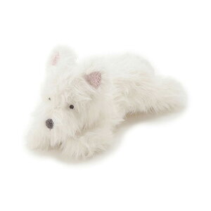 WF[gsP gelato pique Sleep EFXeB NbV psgg255832 WFsP ВbsÔݑΉi ʂ CeA G 2025~ Mtg v[gɂ ZNg