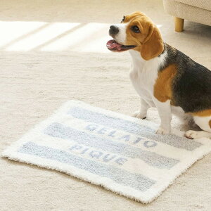 WF[gsP gelato pique CAT&DOG WF[gW2{[_[uPbg pagg255573 WFsP ѕz ₦h~ 2025~ Mtg v[g ZNgG݃[yP10z