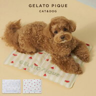 ジェラートピケ gelato pique CAT&DOG サマーモチーフ柄Coolingジェルマット pagg262589 ジェラピケ 犬猫…