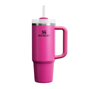 STANLEY X^[ H2.0 ^XNG`[0.88L 10-10827 {Ki ۗ ϋv }O Xg[t ^u[ }C{g (ʔpMtgbsOΉ)yP10z