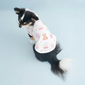 WF[gsP gelato pique CAT&DOG Birthday o[Xf[vI[o[ pagg259132 WFsP hbOEFA LbgEFA [EFA  Lp 2025H Mtg v[g ZNgG݃[