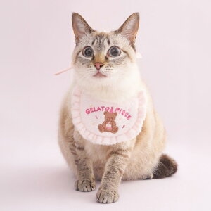 (I|Cgő10{)WF[gsP gelato pique CAT&DOG Birthday X[YB[o[Xf[X^C pagg259133 WFsP hbOEFA LbgEFA p Lp a LOBe 2025H M