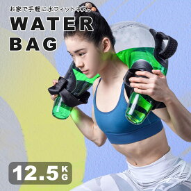 コアトレーニング 体幹トレーニング ウォーターバッグ アクアバッグ ウォーター バック 水 体幹 筋力 鍛える 筋トレ トレーニング器具 運動器具 送料無料
