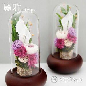   vU[uht[ KXh[ dp  Ki    a _ ʔv  ؐ Aliceflower ʔ Mtg v[g av[g