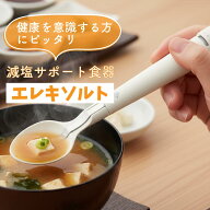 おいしいの、新しいかなえ方 キリン エレキソルト スプーン 減塩食品 薄味の健康的な食事 微弱な電流の力…
