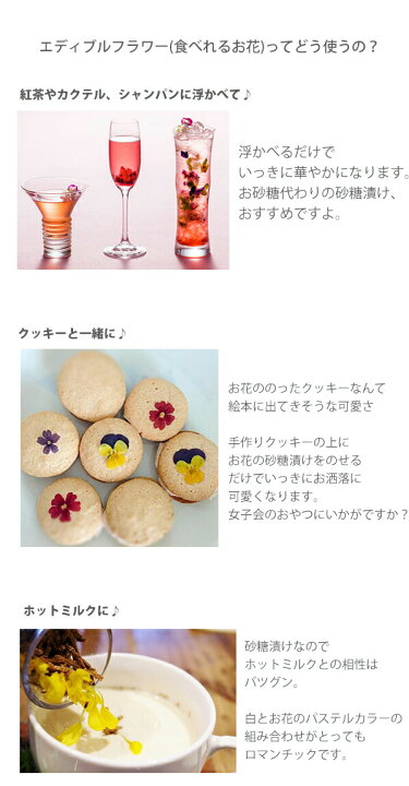 楽天市場 あす楽 デメル スミレの砂糖漬け 38g Boxタイプ Demel Demel 皇妃エリザベートが愛したお菓子 人気 スイーツ お菓子 文化祭 学園祭 秋 冬 紅葉 お祝い 贈答品 パーティー イベント 喜ばれる お菓子 御祝 お祝い 通販 レディース通販のソラーラ