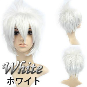 コスプレ 仮装 変装衣装 女装 ディズニー コスプレ 仮装 変装衣装の人気商品 通販 価格比較 価格 Com